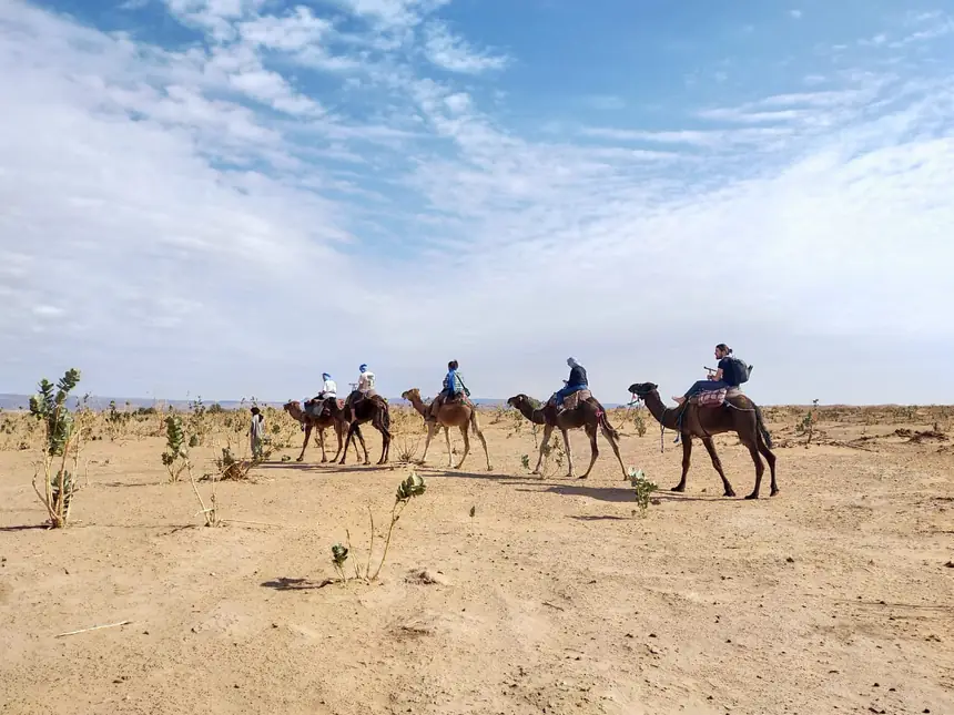 Caravane de dromadaires dans le désert